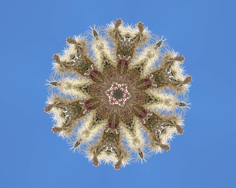 Illustration for article titled 7 Trippy Kaleidoscopes Made From Plain Photos